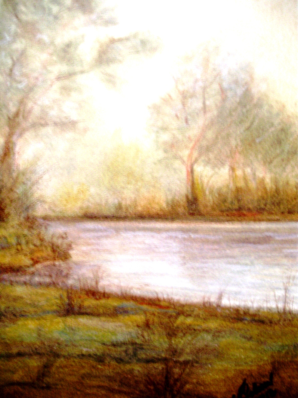 Nebbie sul fiume